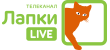 Лапки Live